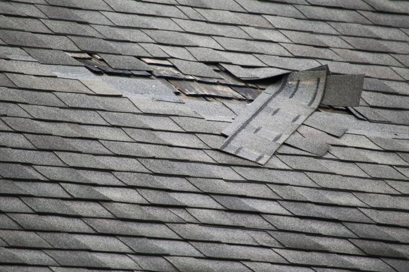 Asphalt Shingle Roof Leak Detection