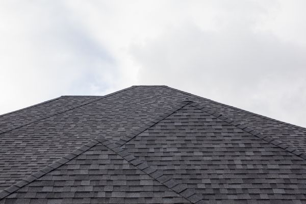 Roof Fascia Replacement