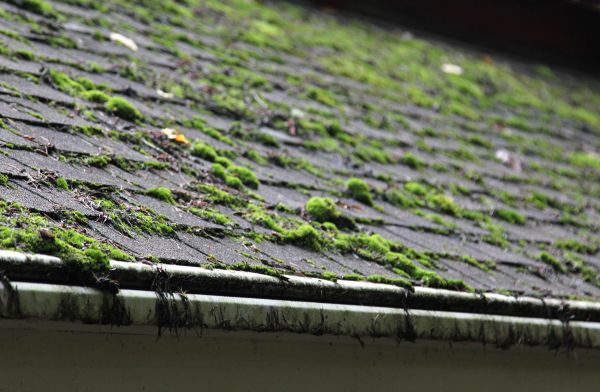 Aluminum Roof Power Washing