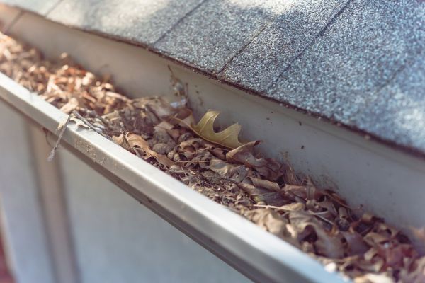 Gutter Roof Cleaning