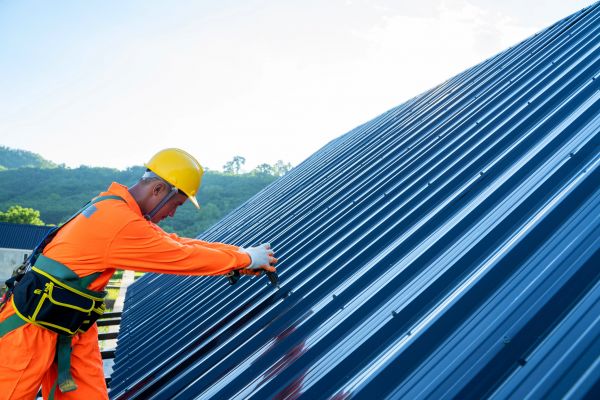 Metal Roofing Maintenance - Metal Roofing Maintenance North Fort Myers, Florida