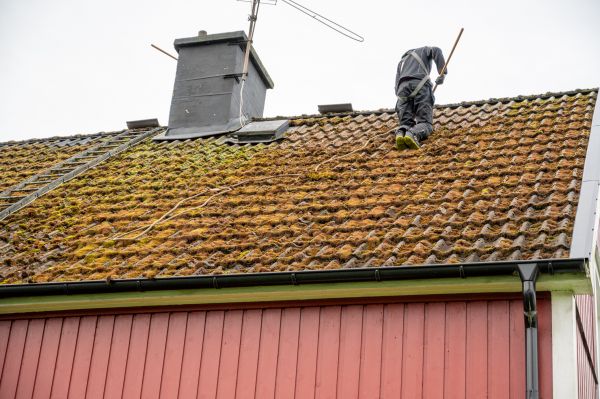 Moss Roof Cleaning