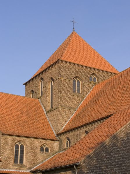 Church Roof Stain Removal