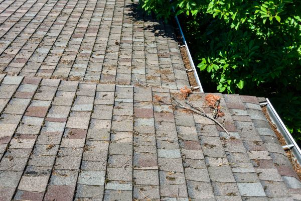 Shingle Roof Cleaning - Shingle Roof Cleaning Boynton Beach, Florida
