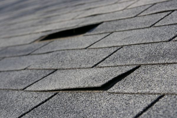 Shake Shingle Repair