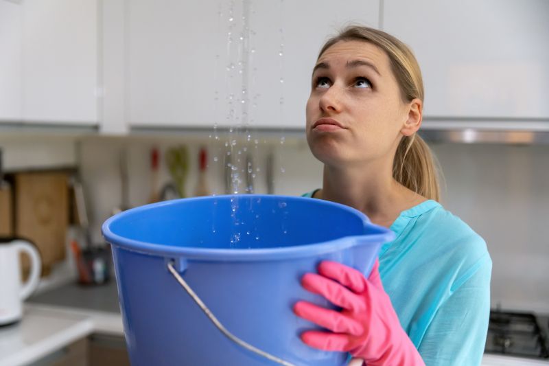Leaking Roof Repair